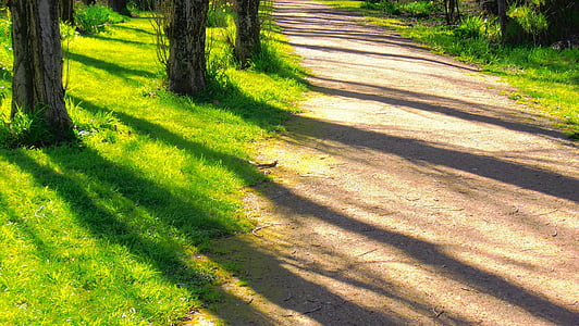 rough road between grasses and trees thumbnail