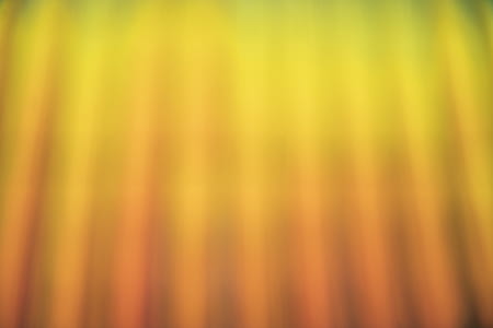 Orange Becomes Yellow Photo thumbnail