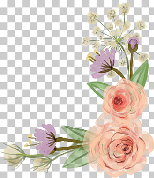 Flower Rose , Flower Border, white flowers PNG clipart