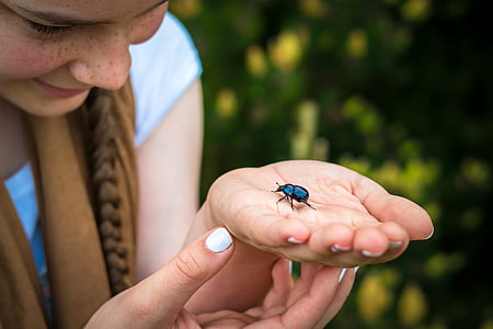 woman holding black bug near green bush during daytime thumbnail