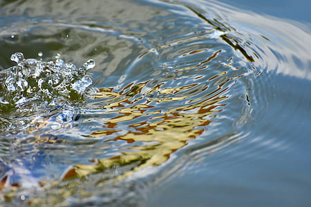 shallow focus photography of body of water thumbnail