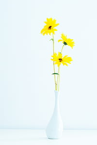 Yellow Petaled Flowers on White Vase thumbnail