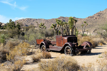 stock photo of brown vintage car surrounded by plants thumbnail