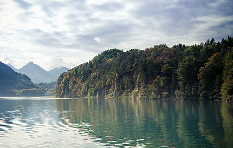 panoramic landscape photography of tall trees under nimbus clouds near river thumbnail