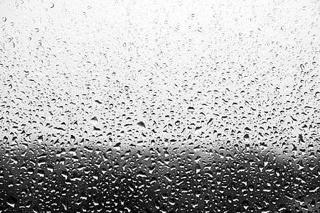 dew on glass panel wallpaper thumbnail
