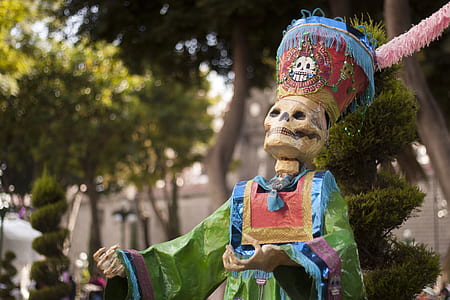 skeleton dressed with cap thumbnail