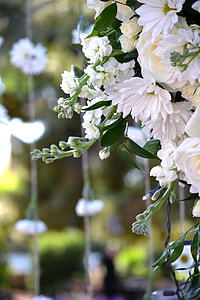 White Flowers, Wedding Decorations thumbnail