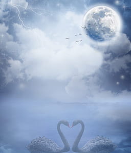 white swan under full moon wallpaper thumbnail