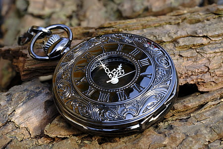 round pocket watch on tree trunk thumbnail