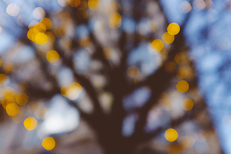 Christmas Bokeh Lights thumbnail