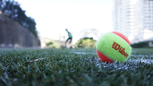 green and red Wilson on green grass thumbnail