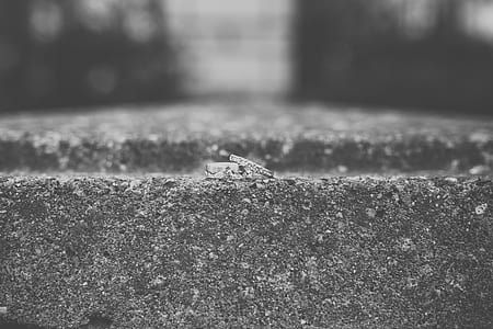 grayscale photo of bridal ring set thumbnail