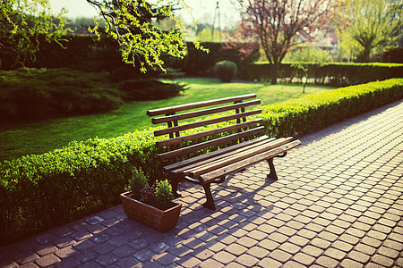 empty brown wooden bench on concrete pathway thumbnail
