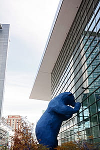 blue bear statue beside building thumbnail