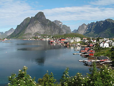 high angle photo of lake surrounded with houses thumbnail