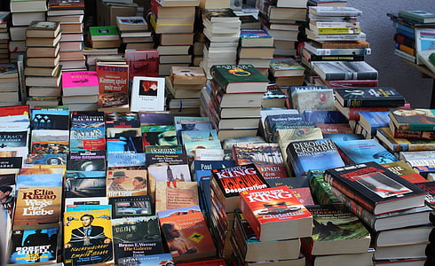 stacks of assorted book lot thumbnail