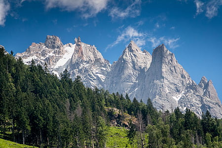 mountain peaks near pine trees thumbnail