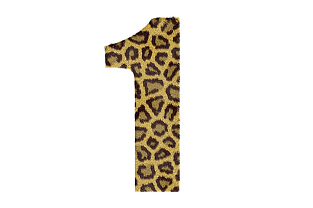 1 of Leopard Skin Design thumbnail