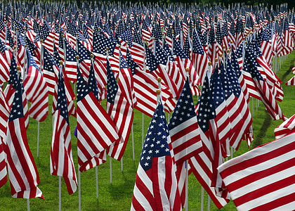 USA national flags thumbnail