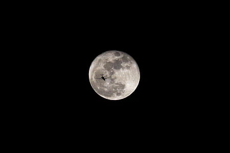 Fly me to the Moon, gray moon thumbnail