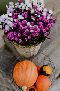 Pumpkins and flowers as decoration on stairs thumbnail