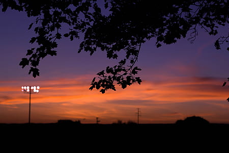 silhouette photo of tree and street posts thumbnail