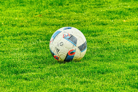 soccer ball on grass field thumbnail