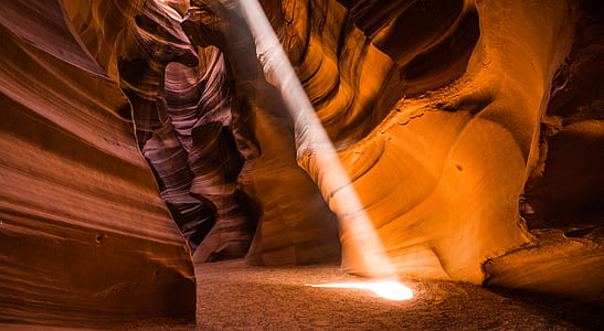 brown national park thumbnail