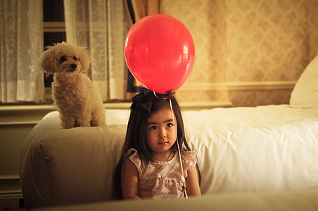 girl with red balloon beside a white poodle on bedroom thumbnail