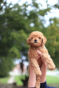 person, hands, trees, cute thumbnail