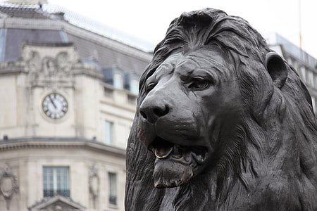 black lion statue besides white building with clock thumbnail
