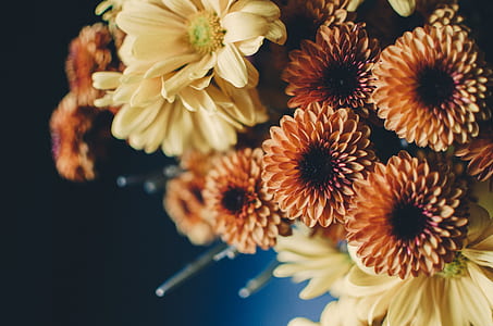 yellow and orange flowers thumbnail