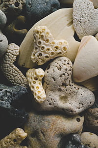 Gray and Beige Heart-shaped Corral Collection thumbnail