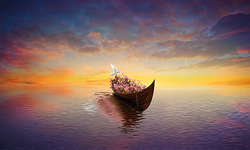 pink petaled flower in brown canoe boat thumbnail