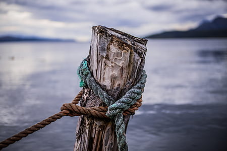 brown and blue rope tie on tree slab thumbnail