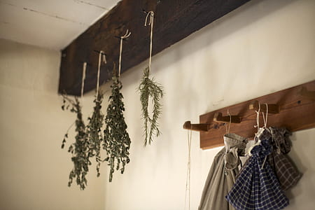 green leaf hanging on brown and black wall hooks inside room thumbnail
