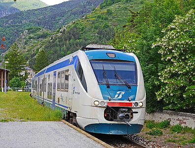 white and blue train near the tree at daytime thumbnail