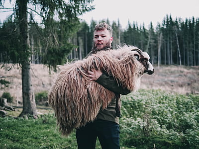 man carrying brown sheep on forest thumbnail