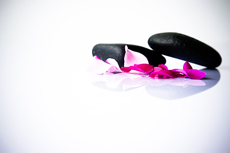 pink flowers petals and two black stones closeup photo thumbnail