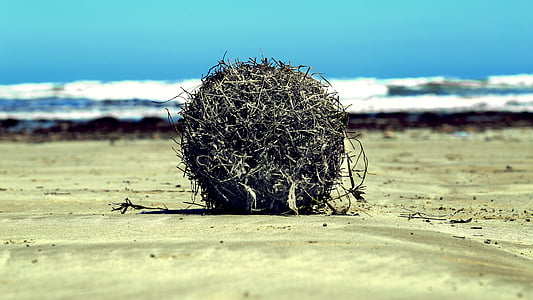 selective focus photography of haystack on shore thumbnail