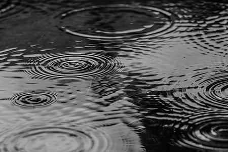 grayscale photography of water drops on water thumbnail