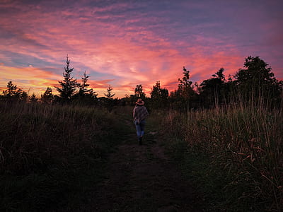 person standing between grass field during golden hour thumbnail