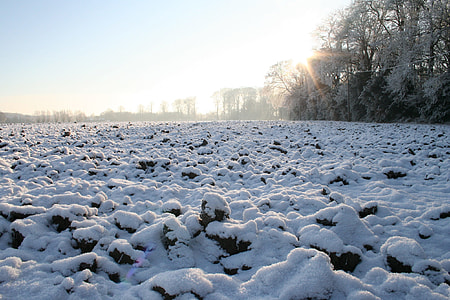 Snow Covered Ground, Icy Winter thumbnail