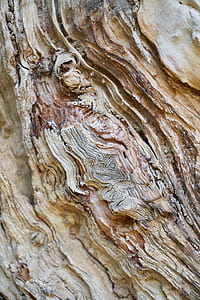closeup photo of brown wood thumbnail
