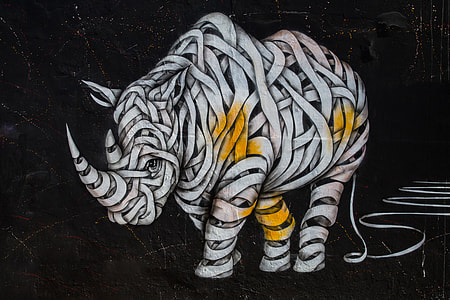 Street art rhino captured on a wall with a Canon 6D DSLR thumbnail