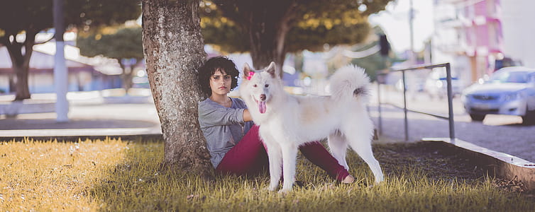 Woman in Gray Long Sleeve Top and Red Pants Sitting Beside Tree and White Medium Coated Dog thumbnail
