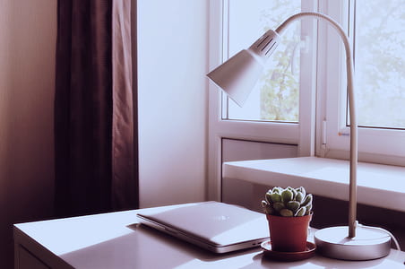 green succulent plant in pot next to study lamp near glass window thumbnail