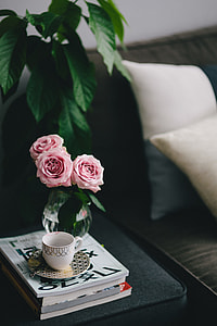 Lovely roseses, book and coffee thumbnail