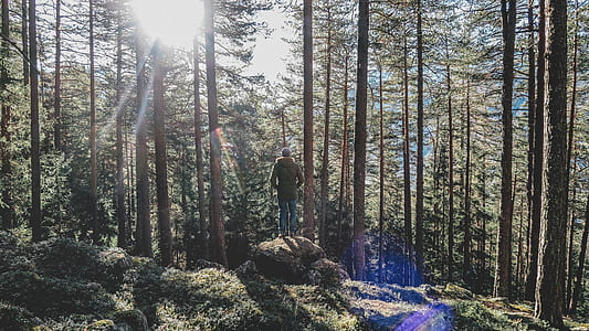 man standing on stone near trees thumbnail