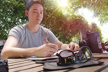 wood, bench, sunny, man thumbnail